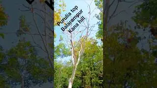 balarampur puruli kana hii  vibes#darjeeling#shortvideo#hindi #bengali #vibes #reels #video#nature