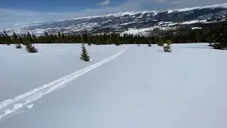 Jelly Roll, The Cirque at Winter Park. Powder run through the trees