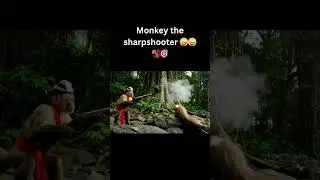 Monkey Pirate&rsquo;s Big Mistake #animals