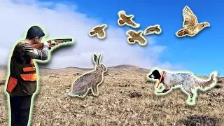 RÜZGAR FIRTINASINDA KEKLİK VE TAVŞAN AVI! (FERMALARA DOYDUK)