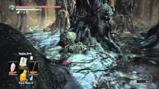 DARK SOULS 3 - Sage's Scroll location
