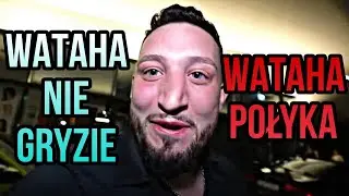 BOXDEL OBRAŻA WARDĘGE - WATAHA NIE GRYZIE WATAHA POŁYKA 😳 (AFERKI IRL ULFIK WOJTEK GOLA)
