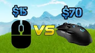 Cheap Mouse vs. Expensive Mouse in Gaming!