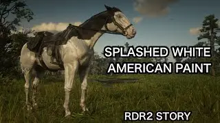 SPLASHED WHITE AMERICAN PAINT HORSE- RARE MOUNT !HOW TO FIND RED DEAD REDEMPTION 2 STORY MODE