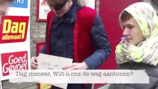 Het Dwaallicht - Groepswerk Nederlands 2017
