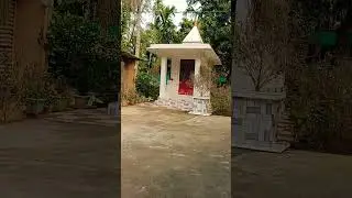 Design of Shiv Mandir tiles and Tulsi mandap #viralvideo #home #shiv #mandir #design  #youtubeshort