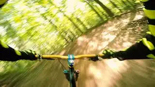 Marquette Benson Grade Down Dogger 4K