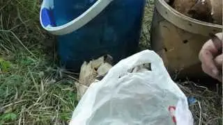 DSCF0503.AVI ГРИБЫ!!!!!!!!!!!!!!!