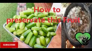 Preservation of fruits | home remedy | healthy life | village cooking | Bilimbi -Tips For Longevity