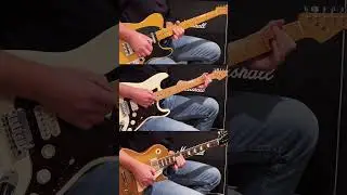 Fender Tele vs Strat vs Gibson Les Paul - Best blues guitar sound?🔥 #shorts #music #youtubeshorts