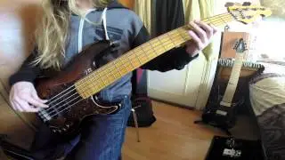The levitated Scale the summit  [Bass Cover]  HD