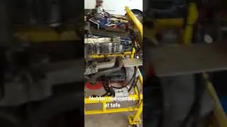 holden red motors