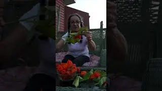 Eating  Physalis Berries
