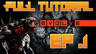 EVOLVE stage 2 | TUTORIAL part.1| basic | no commentary