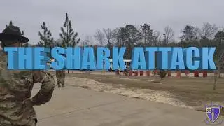 THE SHARK ATTACK