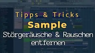 Störgeräusche entfernen mit Edison - FL Studio  20/12/11 [Tutorial/Deutsch]