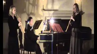 Johan Helmich Roman  Sonata in g moll for 2 oboes & B.C.