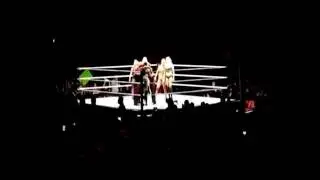 WWE Sasha Banks, Paige, Natalya, and Becky Lynch vs Eva Marie, Charlotte, Summer Rae, and Dana