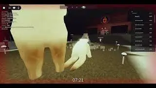 ICE BEAR 2026