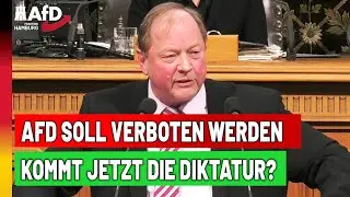 Demokratie-Gef&auml;hrdung: Gr&uuml;ne wollen die gr&ouml;&szlig;te Partei Deutschlands verbieten!