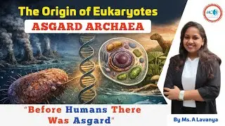 Асгардские археи: происхождение эукариот!