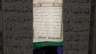 Surh Al Rahman #qurantilawat #quranpakkitilaw
