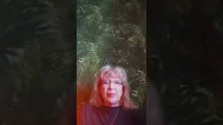 отзыв