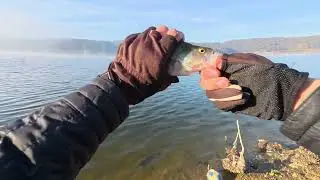 Ömerli Barajı - Perch Avında Somon hamuru kokusu verimi artırıyor