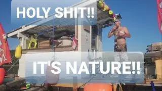 Holy S#&t It's Nature! - ICE CREAM BEACH!!  S02E03