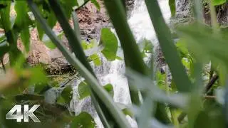 4K Jungle Waterfall Ambience for Sleep, Study, and Stress Relief