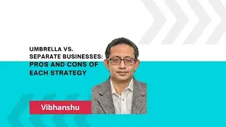 Umbrella vs  Separate Businesses Pros and Cons of Each Strategy