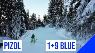 Pizol, 1+9 🔵 BLUE - BLAU (Pardiel - Schwamm) #1 🇨🇭
