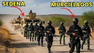 Los Murciélagos se unieron a la SEDENA y rodearon Culiacán, arrestando a 104 integrantes del CJNG