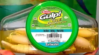 BERKLEY GULP CHANGED THEIR FORMULA AGAIN???