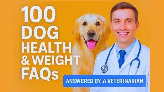 100 Dog Health & Weight FAQs (Answered by a Veterinarian)