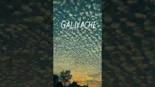 nature se related reel love song#viralvideo #like #nature #safari #video