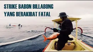 STRIKE BABON BERAKIBAT FATAL // JIGGING MASTER VIP PRO + WIKI 3000