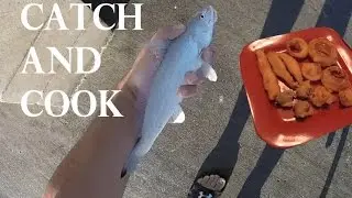 Catch and Cook - WHITING