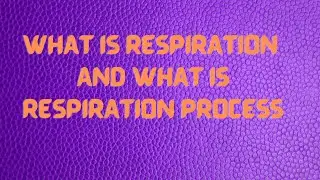 What is Respiration and what is Respiration Process ?