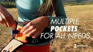 The SparklyPets Active Pack Hands-free Bungee Leash for Medium & Large Dogs