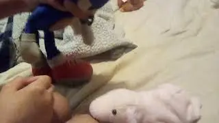 Oooooo a hotdog