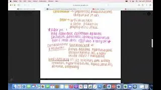 Pharmacology - Cholinergic Blocking Drugs (Anticholinergics)