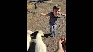 Me and the kids feeding the goats left over pecans 