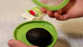 Joie MSC International Avocado Pod Gadget Review