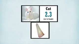 Universe Teeth Size Comparison | Thing Comparison