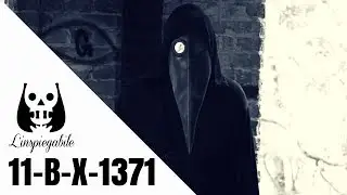 11-B-X-1371: UN VIDEO misterioso E INSPIEGABILE