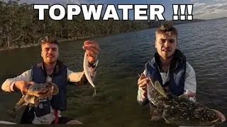 Catching Flathead on BIG Topwater Lures! | Finding New Fishing Spots!