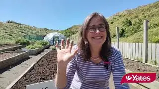 How to stop cats using your garden as a litter box l Yates NZ