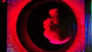 MASAKOWSKI Pookies's Blues