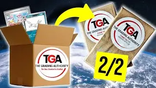 Why TGA Is The BEST Grading Company!